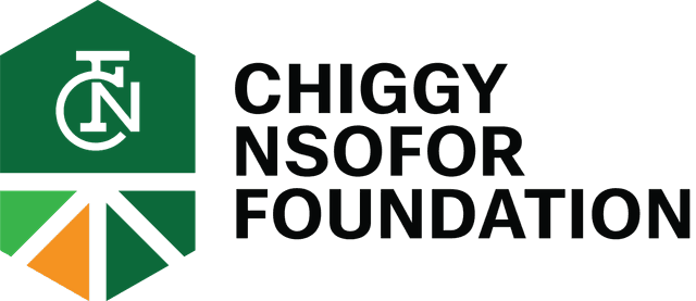 Chiggy Nsofor Foundation